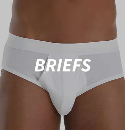 Briefs