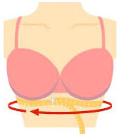 Calculate Your Bra Size